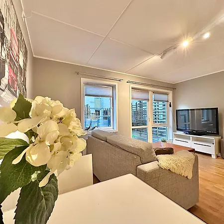 Rentals, Solsiden